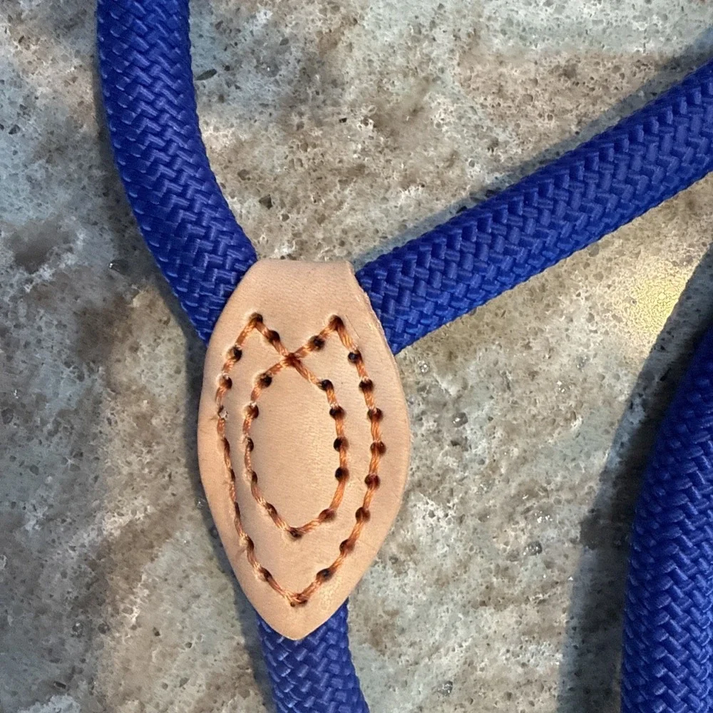 5' Nylon Leather Slip Lead Dog Leash Royal‎ Blue Dog Training Walking Exercise